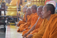 516865381_1223998852857461_976656572604431257_n