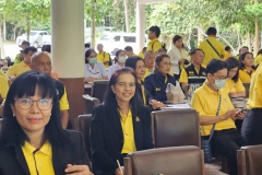 449133540_956096772981005_181362341682711655_n