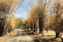 474567718_1099795375277810_425260531274427696_n-1