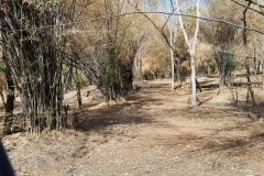 474587555_1099796958610985_5556226395148854499_n