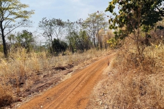 474621385_1099797985277549_6765931245364141376_n