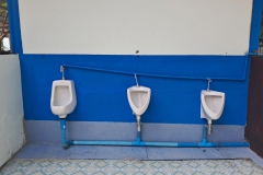 445558186_938615531395796_2812059679942889219_n